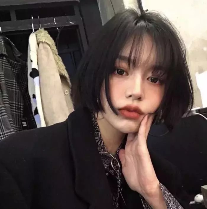 动物成长